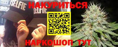 эйфоретик Кингисепп