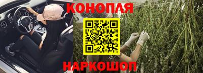эйфоретик Кингисепп