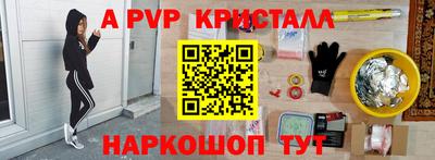 эйфоретик Кингисепп