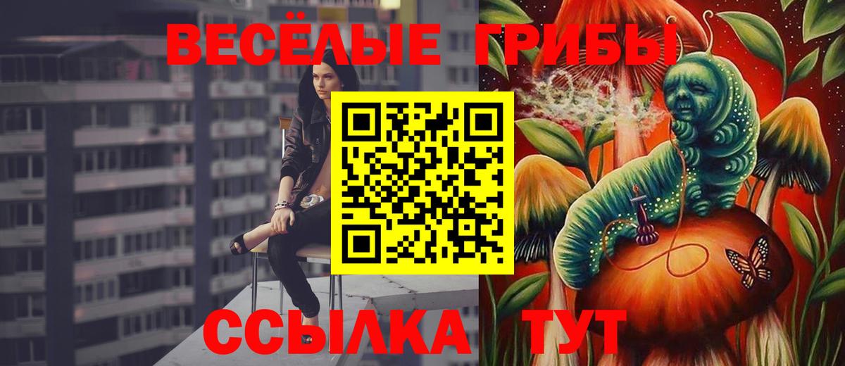 хочу   Вход с VPN  Лабытнанги  Галлюциногенные грибы GOLDEN TEACHER 